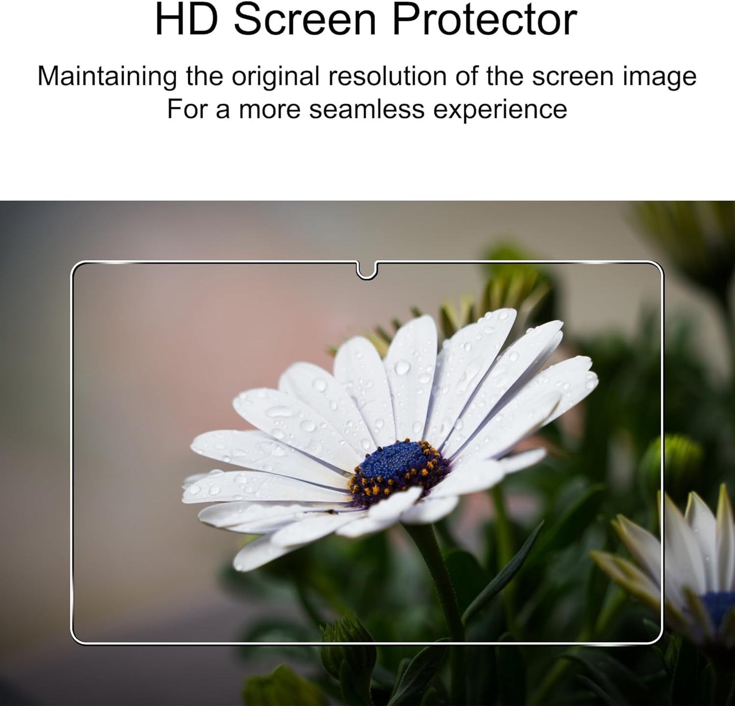 Redmi Pad SE 11 Inch Screen Guard